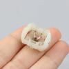 Plastic Carbon Brush Holder White Central Lock Part PTC Plastic Cover  Car Door Lock