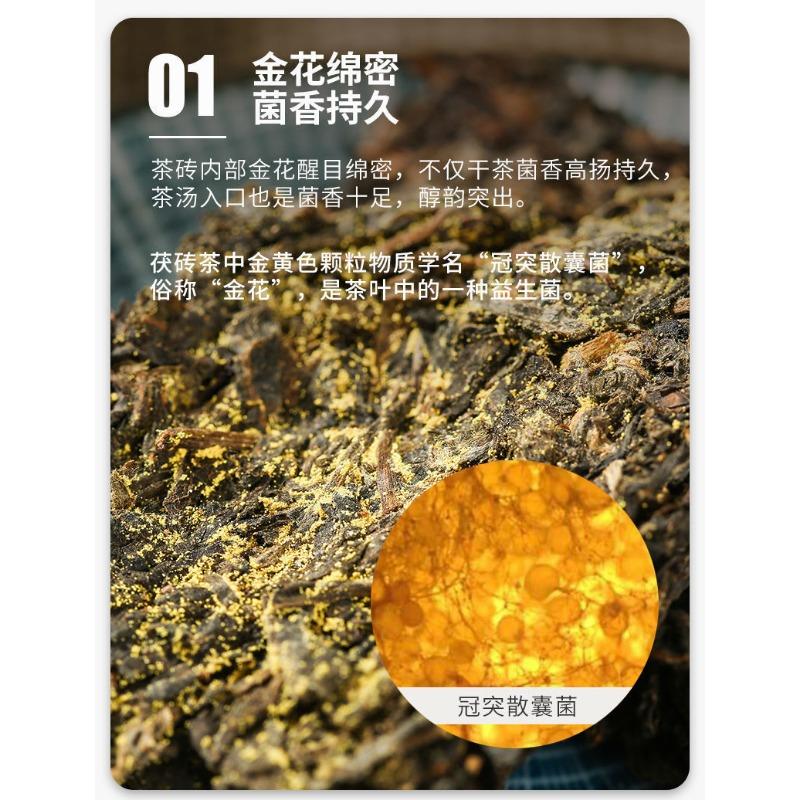 CHINATEA Jinhua MM Hunan Anhua Golden Flowers Fucha Dark Tea Brick Fu Zhuan 360g