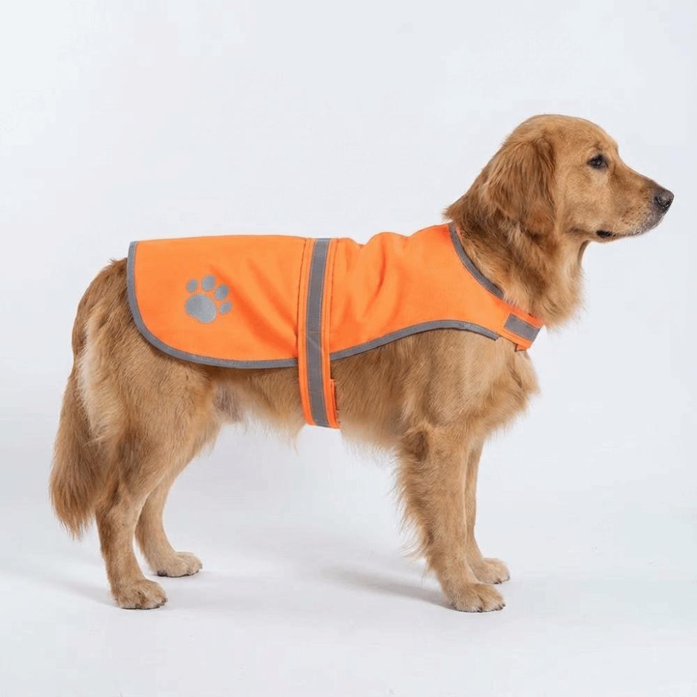 Breathable Puppy Visibility Jacket Adjustable Pet Fluorescent Clothes Dog Safety Vest Chihuahua