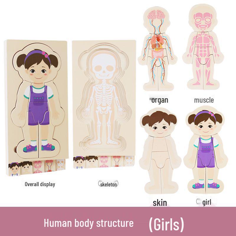 Wooden Multi-layer Body Structure Puzzle for Kids Ages 3-10 - Educational Toy for Early Learning