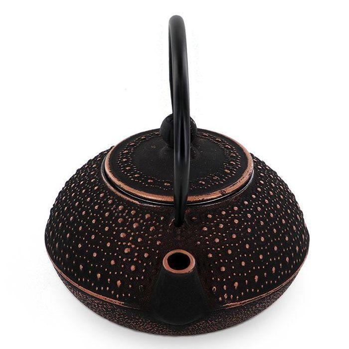 Chinese Cast Iron Teapot Sui - 0.8 L