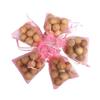 Bagged Pure Camphor Wood Balls - Natural Insect Repellent & Moisture-Proof Pest Control Strips