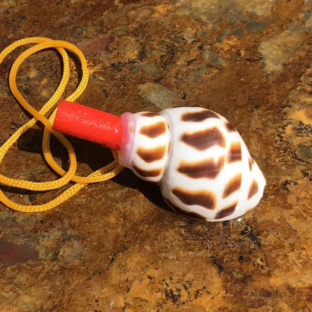 Street Stall Conch Shell Whistles & Toys: Creative Souvenirs