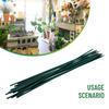 40cm Green Plant Support  Canes For Flowers Garden