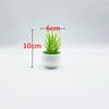 Plastic Succulent Miniature Plant Desert For Home Decor And Office Use