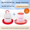 Automatic Chicken Water Dispenser & Feeder - Water Trough & Feed Bucket Combo