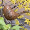 Rustic Metal Bird Sculptures Funny Retro Bird Statue Small Bird Figurine  Bird Enthusiasts Gift