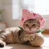 Hot Pet Supplies Cat Peach Hat Pet Funny Costume Plush Hat Transformation Outfit