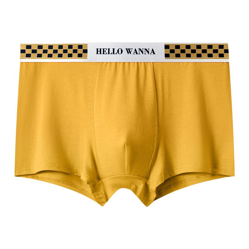 Summer Thin Men's Underwear Breathable Letter Waist Flat Angle Pants for Men