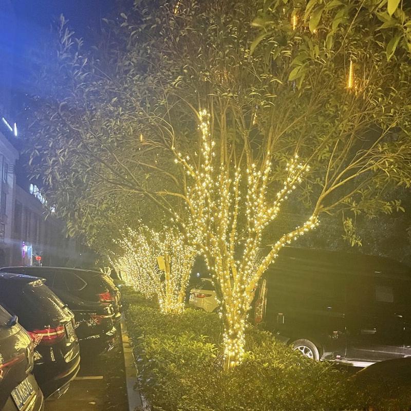 Oeny Starry Sky LED String Lights