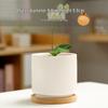 Matte White Vertical Stripe Ceramic Planter with Bamboo Tray, 3-Pack
