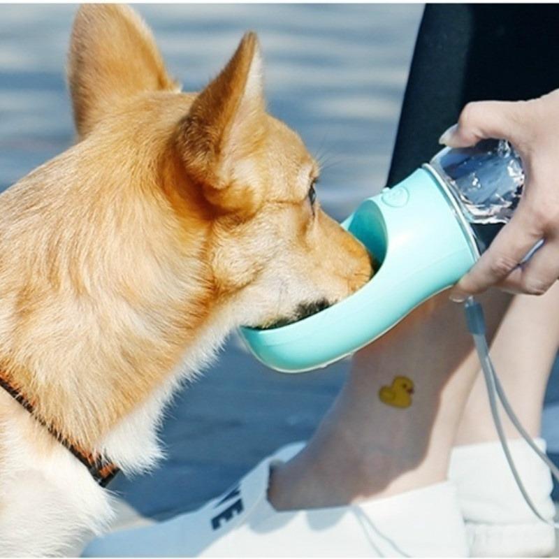 dog drinker