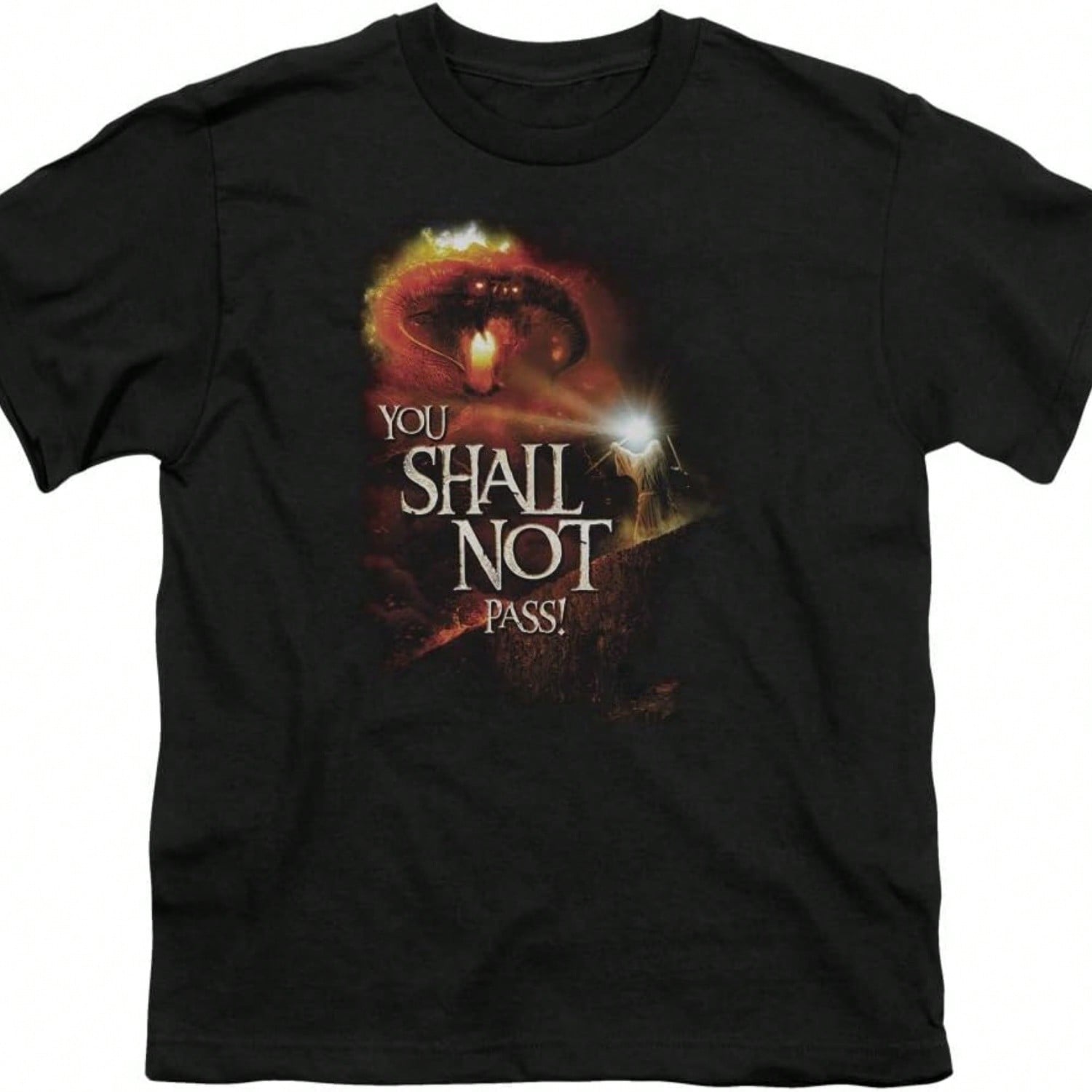 The Gandalf Overlay Poster T-Shirt S разноцветный