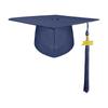 Bachelor 2025 Graduation Cap Doctor Trencher Cap Academic Hat with Tassels  Student Supplies