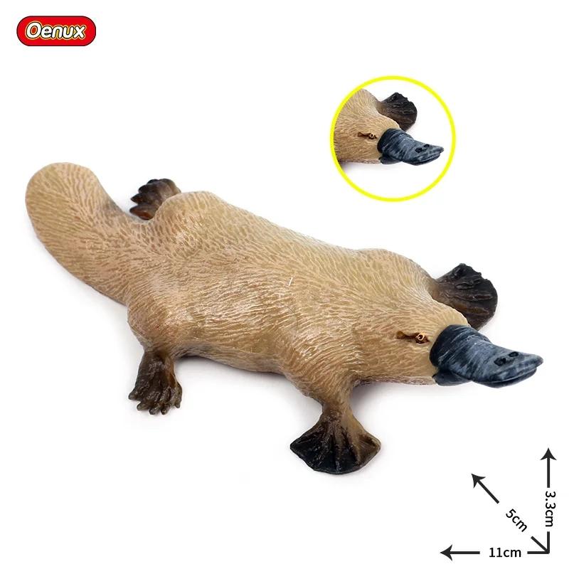 Oenux Classic Australian Wild Animals Kangaroos Koala Platypus Tasmanian Devil Echidna  Cassowary Model Figurine Toy Kid Gift