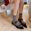 Niche design trendy cool black pointed Mary Jane single shoes women's shoes spring 2025 French thick heel small leather shoes