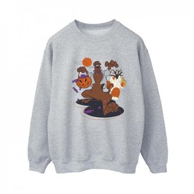 Womens/Ladies Pumpkin Sweatshirt