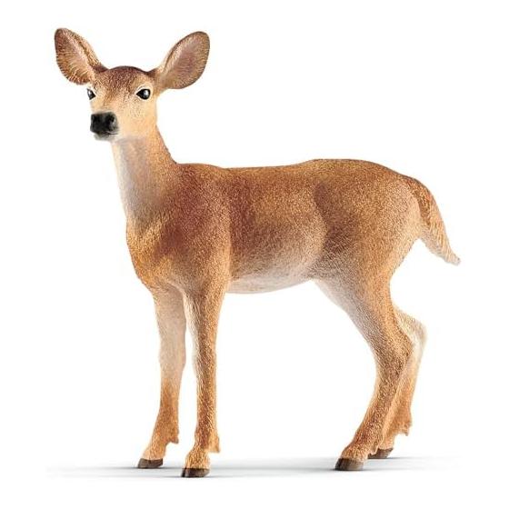 Schleich Животные Белохвостый олень (женский) Рисунок 14819