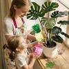2pcs Extra Large Plant Watering Globes for Plants Plant Watering Devices Vacation Self Watering Globes with Slow Release Indoor Plant Watering Bulbs