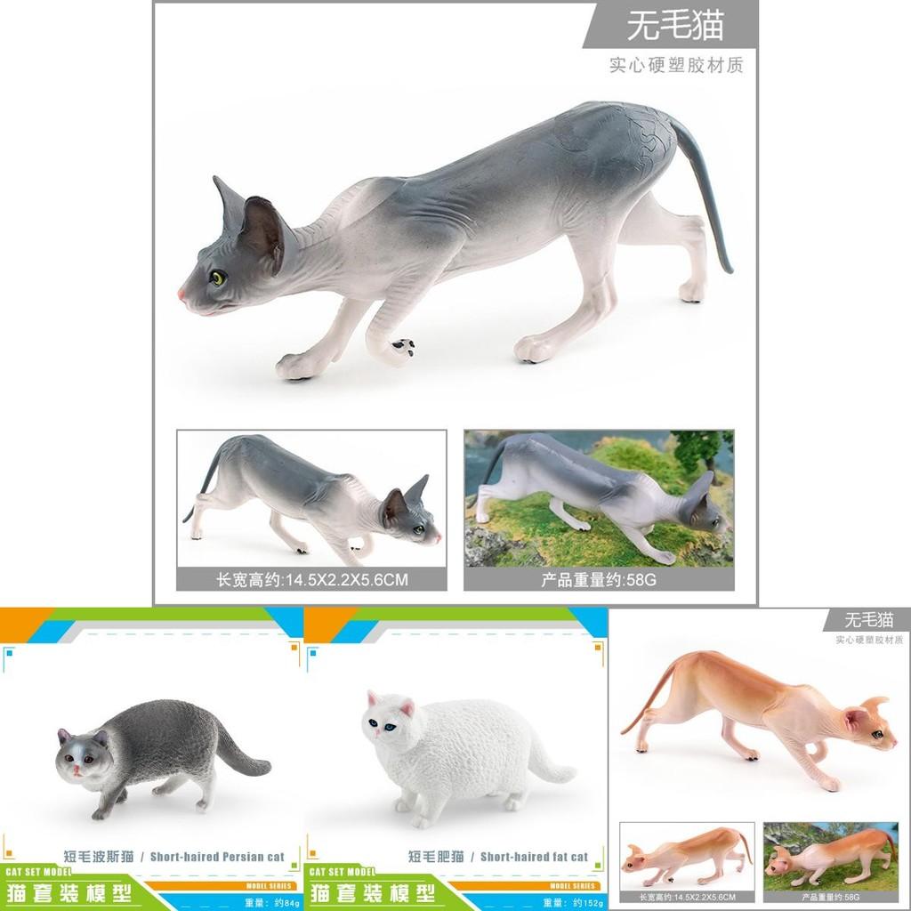 Realistic Short-haired Persian Cat Model For Kids Educational Pet Decoration