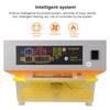100W Automatic Eggs Incubator Brooder Bird Quail Chick Hatchery Incubator Poultry Hatcher Turner Farm Incubation Tools AC110V/220V  50/60HZEU/US
