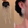 Exquisite Rhinestone Firework Tassel Earrings - Luxurious and Versatile Studs for Women