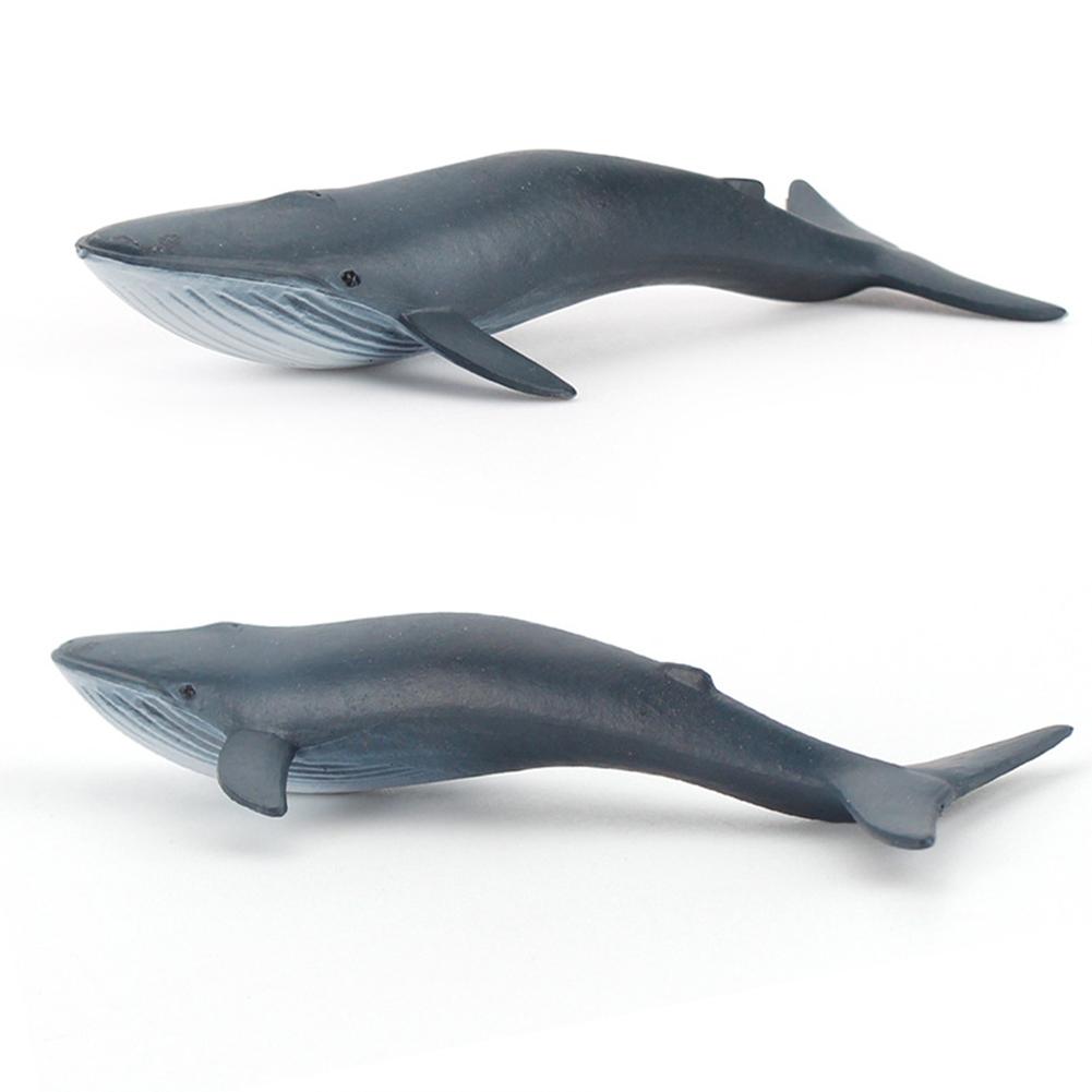 4pcs/set Plastic Mini Solid Static Marine  Creature  Model Set Science Educational Decoration Toy