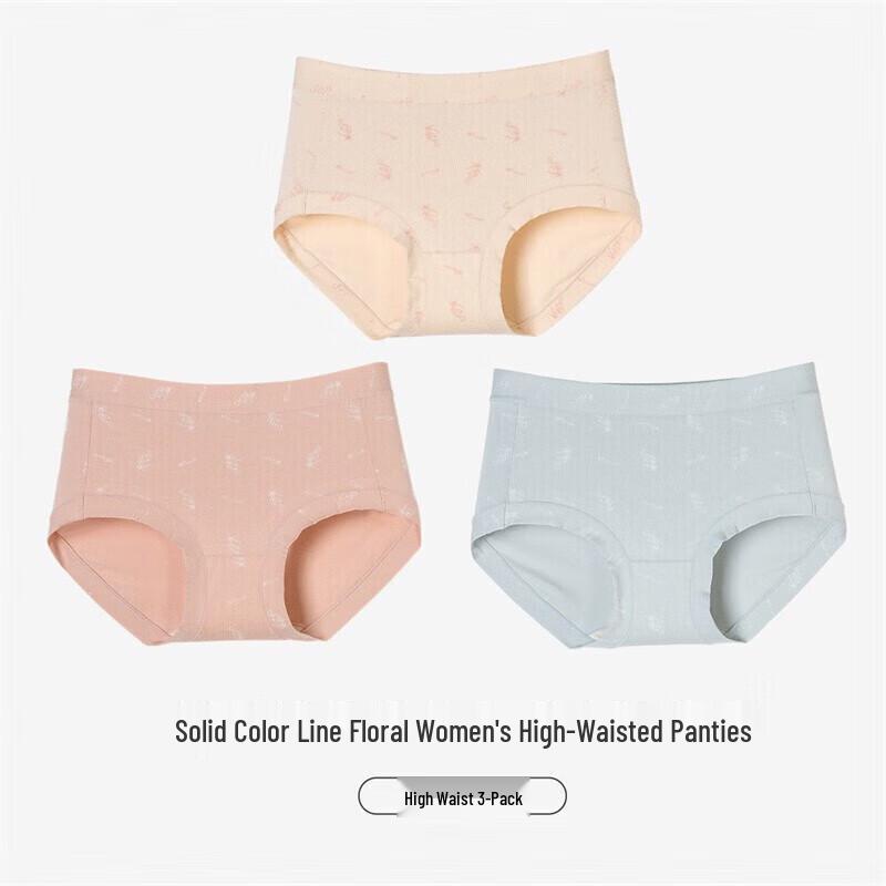 Dingguagua Women's Cotton High-Waist Underwear Multipack ZY33033