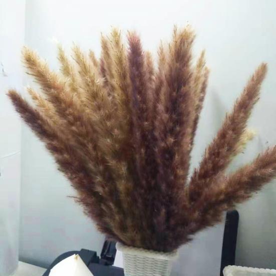 30 szt. Suszona roślina puszysta przyciągająca wzrok 2 kolory doskonałe sztuczne suszone rośliny trawiaste do użytku domowego