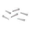 Titanium Bridge Pins PWPS13 Bridge D'Addario (6 Pins)