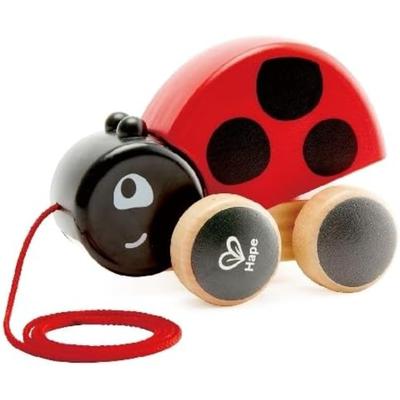 Giocattolo Scarabeo in Legno da Tirare per Bambini dai 12 Mesi