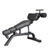 WEZHO Adjustable Multi-Functional Sit-Up Bench CN Plug (adapter Included)