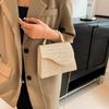 Trendy Medium Woven Handbag For Women With Single Chain Shoulder Strap In Beige