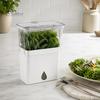 Freshness Preserving Vegetable Box Crisper, Double-Layer Storage Extends Box, With Humidity Control for Herbs And Vegetables Refrigerator Use