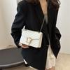 Stylish Fall Season Chain Crossbody Bag For Women Trendy Small Handbag 2024