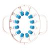 Cellulite Massager With Removable Rollers To Improve The Toughest Areas. The Best Roller For Legs, Buttocks And Abdominals