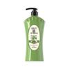 Obeis Herbal Tea Seed Anti-Dandruff Shampoo