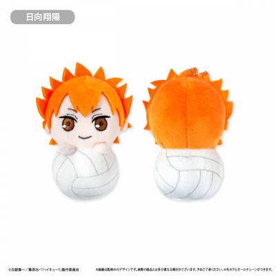 Haikyu   Haikyu    Pyokonui Shoyo Hinata