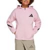 Adidas Grade School Tops Hooded Moderate JC7576