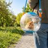 Animale de fermă
– Cuşti şi accesorii pentru animale