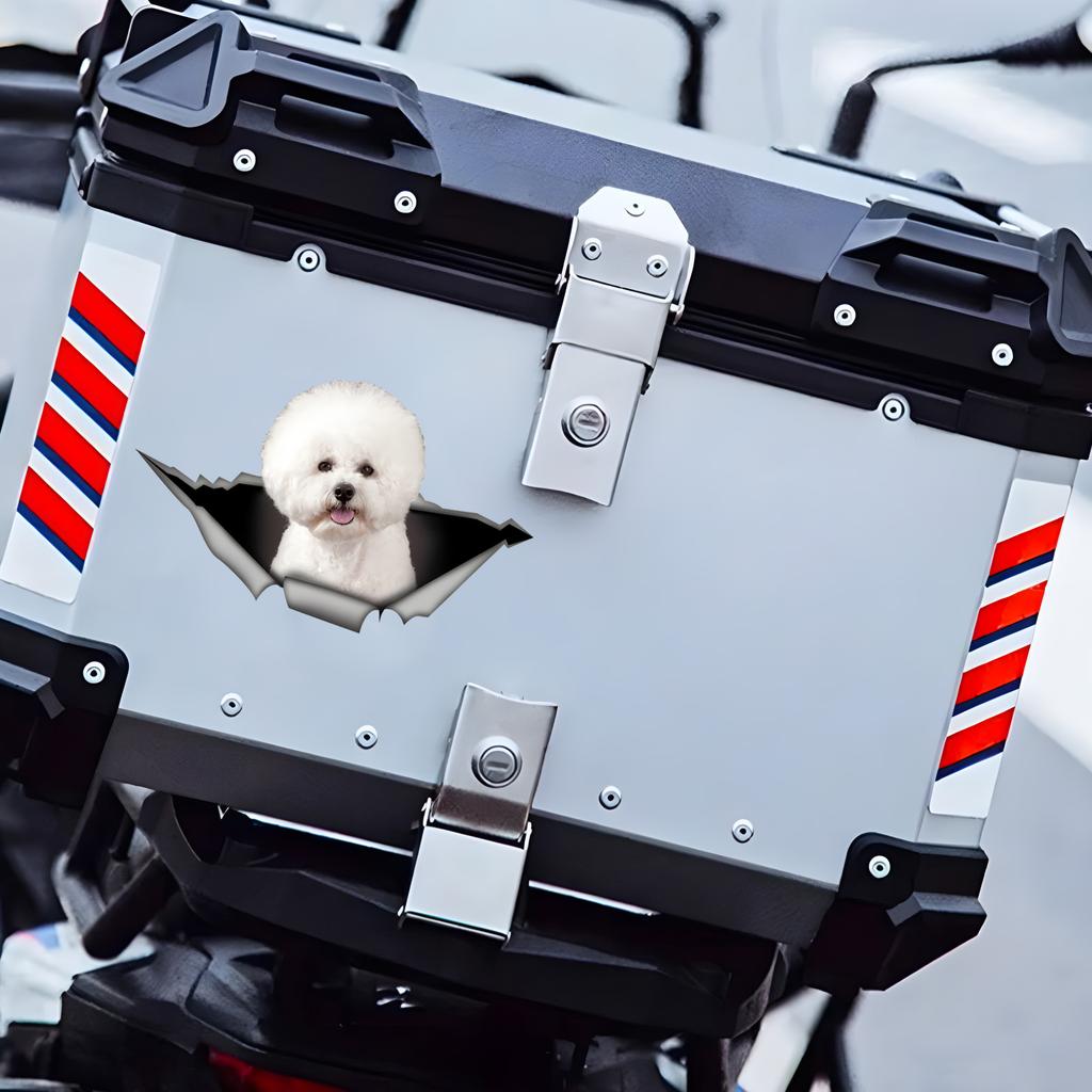 1pc Bichon Frise  Funny Car Sticker, Cute Dog In the Hole Creative Design Sticker, Suitable for Cars, Trucks, Motorcycles, Walls