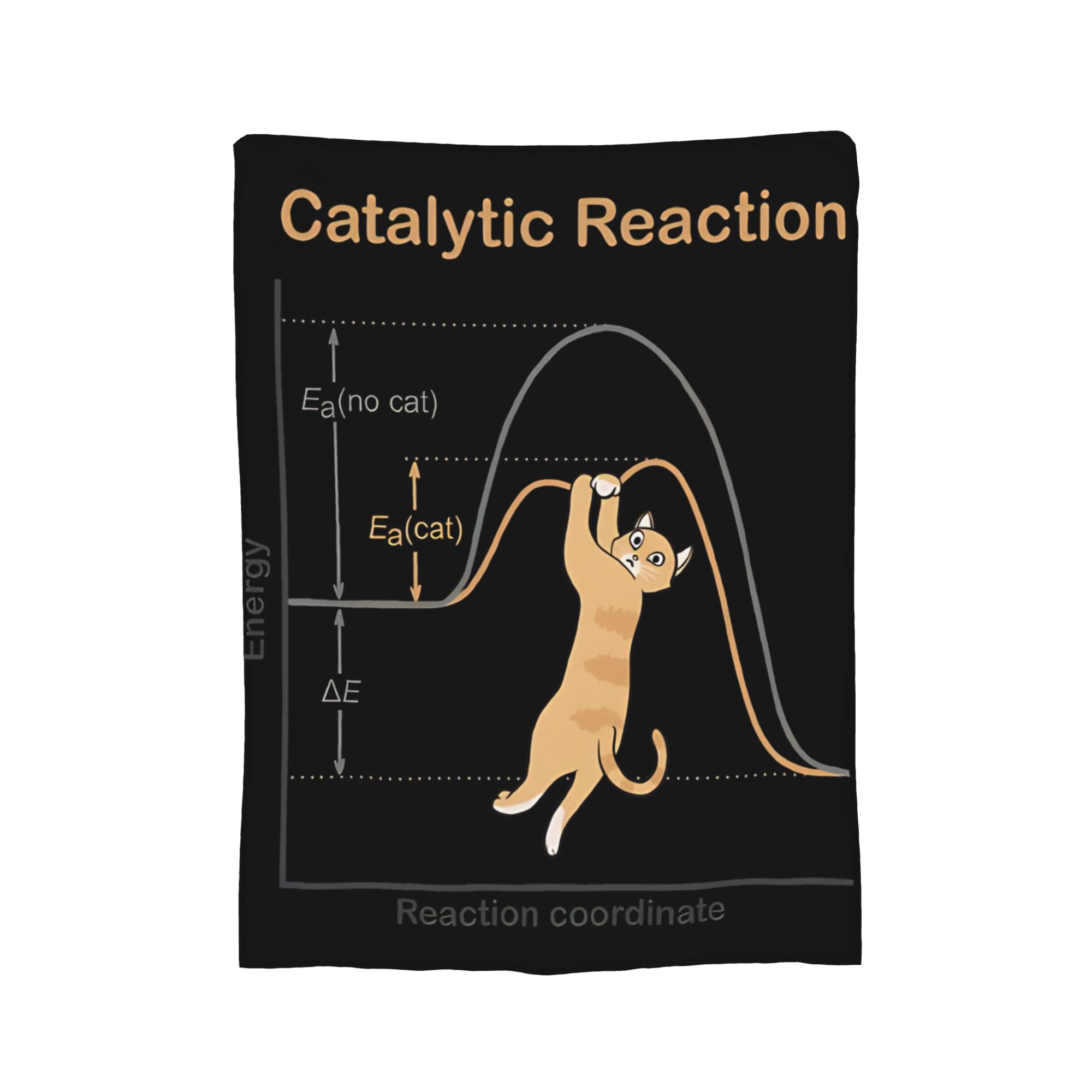 Thinking Cat Physics Formula Meme Art Blanket Flannel Quantum Mechanics Cat Super Warm Throw Blanket Couch Bedroom Quilt Size: 75*100cm, Weight: 230 GSM