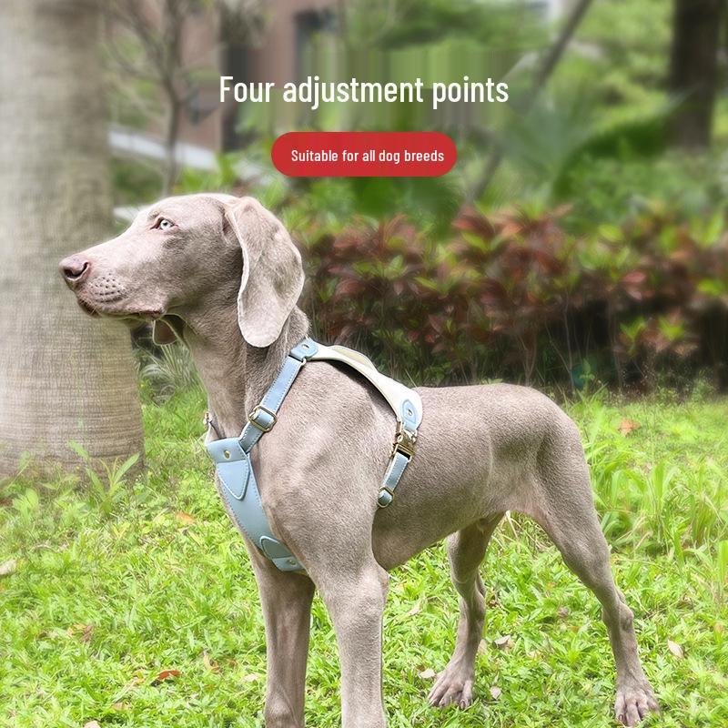 Luxury Leather Pet Harness & Leash Set for Medium & Large Dogs