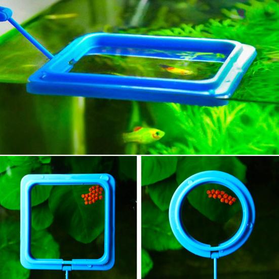 Fish Feeder Ring Fixed Feeding Area Food Tray Suspension Plastic Aquarium Floating Fish Food Ring with Suction Cup for Guppy Betta Goldfish