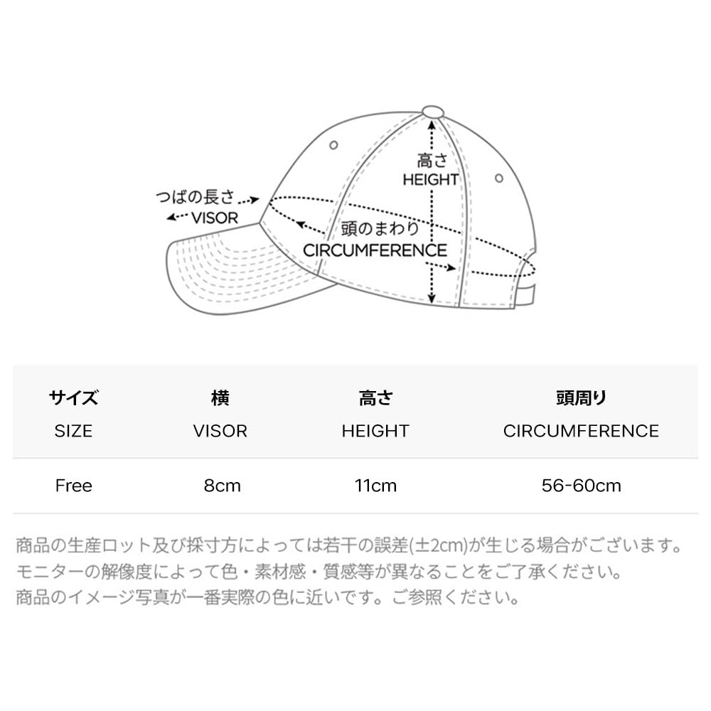 VZ Stud Over Fit Ball Cap Gray [VARZAR]