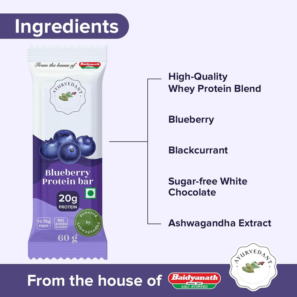 Baidyanath Blueberry Protein Bar 20g Protein No Added Sugar 60g x 6 High Fibre Healthy Snack for Fitness and Energy pack of 1