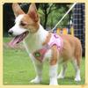 Reflective Pet Leash Harness & Leash Set For Puppy & Kitten, No Pull Dog Vest Harness With Breathable Mesh