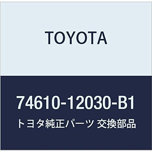 TOYOTA Genuine Parts Assist Grip (GRAY) Light/Town Ace V,WG Part Number 74610-12030-B1