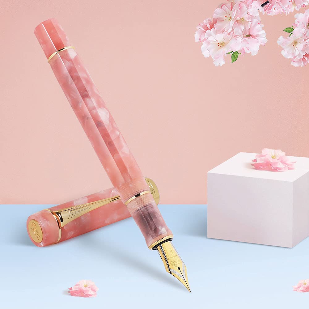 

JINHAO Fountain Pen, Rose Gold Plated, Fine Nib, Smooth Writing, Classic Pen, with Ink Converter (Powder)