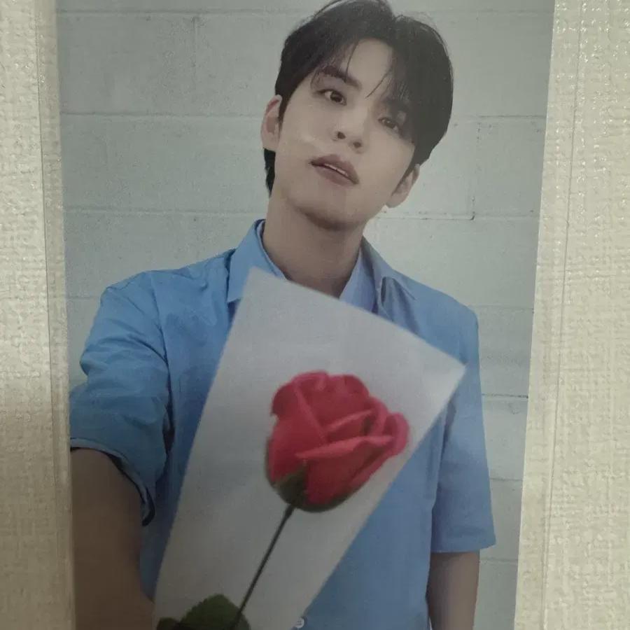 

Day6 Concert 50,000 Wonpil Flower Photocard